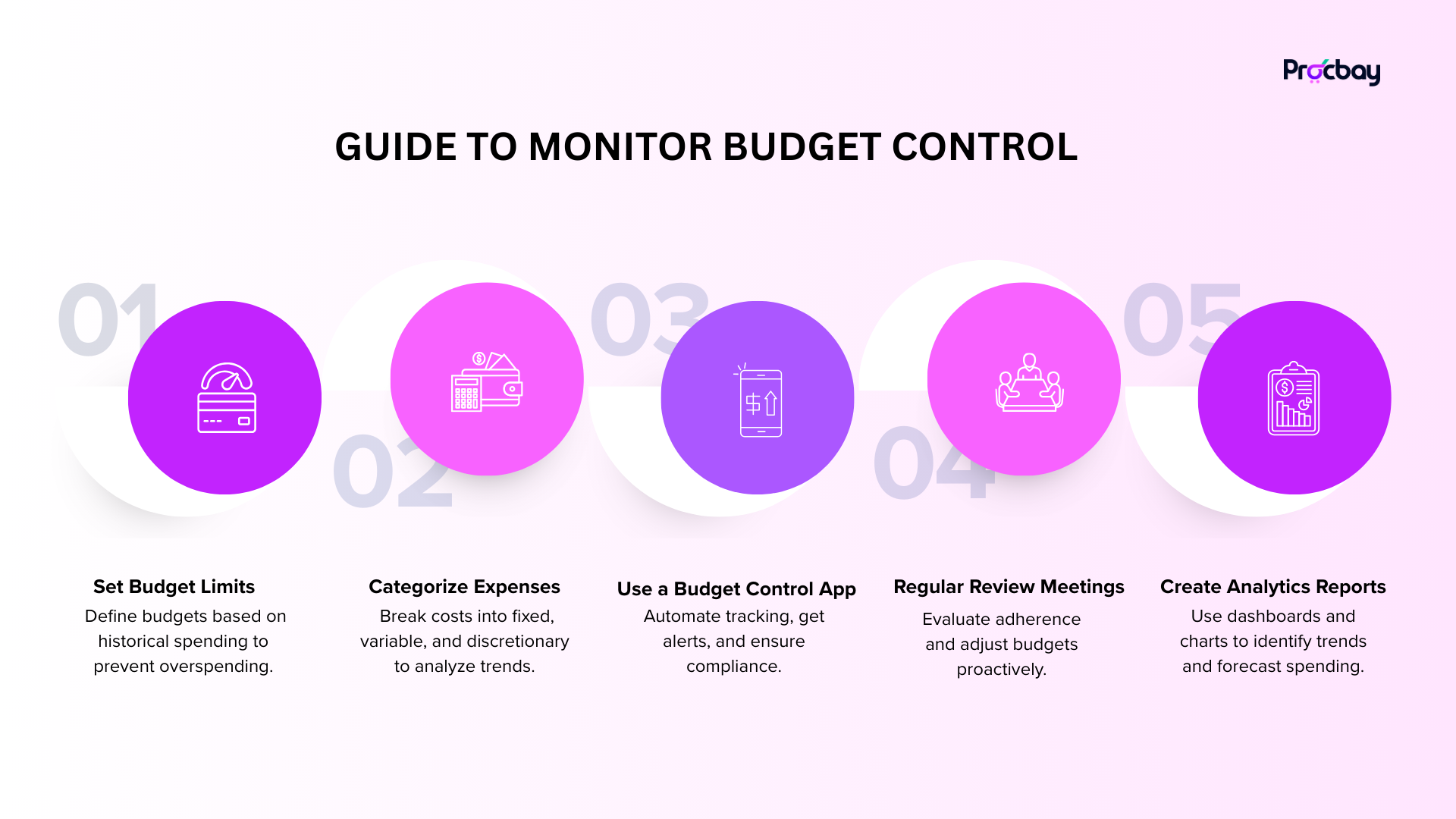 Budget Control Monitor software interface with financial reporting and spending insights